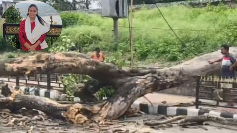 College student killed, another injured after tree falls on scooter in Guwahati College student killed, another injured after tree falls on scooter in Guwahati