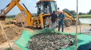 Assam Fisheries Department seizes 7 quintals of banned Thai catfish in Boko crackdown Assam Fisheries Department seizes 7 quintals of banned Thai catfish in Boko crackdown