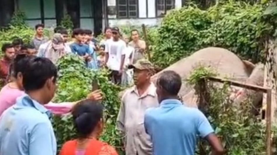 Assam: Wild elephant electrocuted after coming in contact with transformer in Sonitpur's Chariduar Assam: Wild elephant electrocuted after coming in contact with transformer in Sonitpur's Chariduar