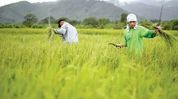 Over 18.6 lakh Assam farmer families to receive Rs 372.01 crore under PM-Kisan's 23rd instalment Over 18.6 lakh Assam farmer families to receive Rs 372.01 crore under PM-Kisan's 23rd instalment