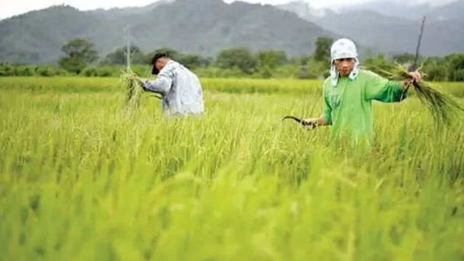 Over 18.6 lakh Assam farmer families to receive Rs 372.01 crore under PM-Kisan's 23rd instalment Over 18.6 lakh Assam farmer families to receive Rs 372.01 crore under PM-Kisan's 23rd instalment