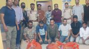 International wildlife trafficking racket busted in Assam's Chirang; 9 arrested, 8 endangered golden langurs rescued International wildlife trafficking racket busted in Assam's Chirang; 9 arrested, 8 endangered golden langurs rescued