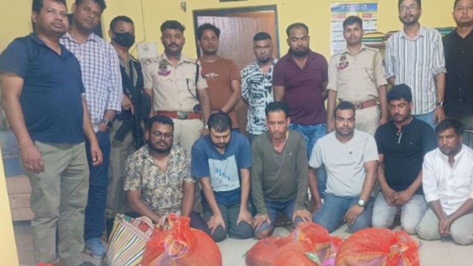 International wildlife trafficking racket busted in Assam's Chirang; 9 arrested, 8 endangered golden langurs rescued International wildlife trafficking racket busted in Assam's Chirang; 9 arrested, 8 endangered golden langurs rescued