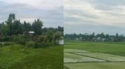 Assam: Nagaon administration set to clear encroachments from government reserve land Assam: Nagaon administration set to clear encroachments from government reserve land
