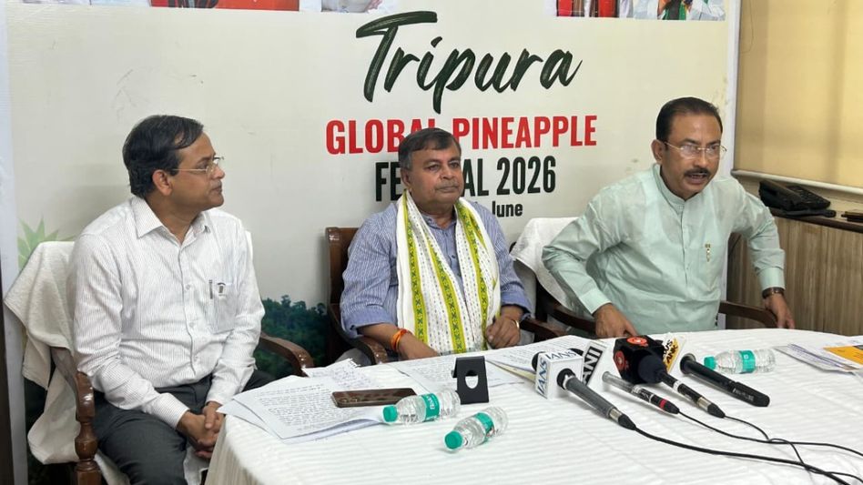 Tripura to expand queen pineapple cultivation to 15,000 hectares, plans global festival in Delhi Tripura to expand queen pineapple cultivation to 15,000 hectares, plans global festival in Delhi