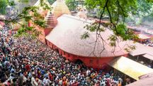 Photo: PTI Photo: PTI