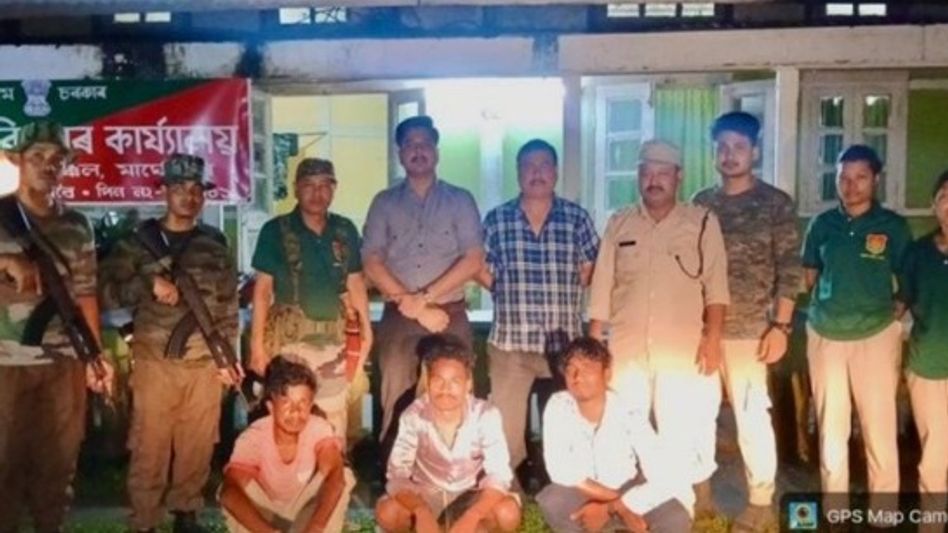 Three arrested for hunting protected hornbill in Assam's Margherita Three arrested for hunting protected hornbill in Assam's Margherita