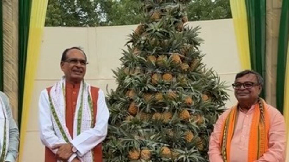 Centre to promote Tripura’s scented rice, ginger and jackfruit, says Union Minister Centre to promote Tripura’s scented rice, ginger and jackfruit, says Union Minister