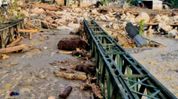 One missing after rescue raft overturns in Arunachal’s Dambuk, search operation continues One missing after rescue raft overturns in Arunachal’s Dambuk, search operation continues