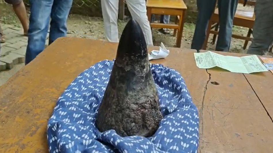 Rhino horn seized in Sonapur resort raid; three suspected wildlife traffickers arrested Rhino horn seized in Sonapur resort raid; three suspected wildlife traffickers arrested