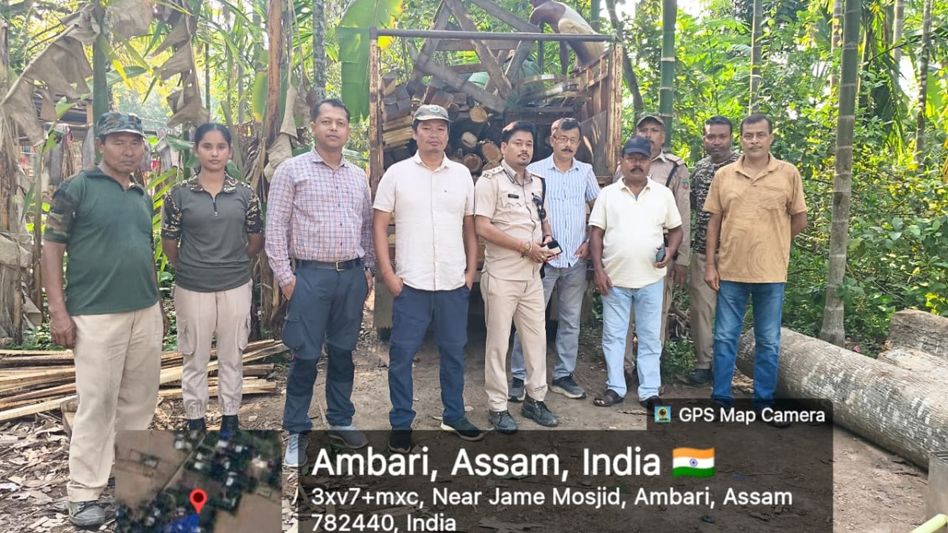 Assam Forest Department launches statewide operation to curb illegal timber trade Assam Forest Department launches statewide operation to curb illegal timber trade