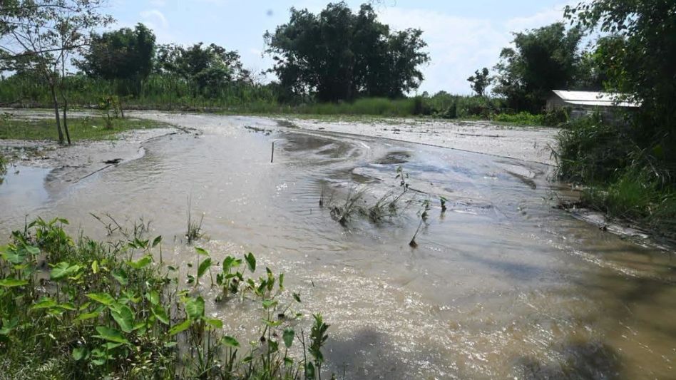 Assam flood situation remains grim; first death reported, nearly 47,000 people affected Assam flood situation remains grim; first death reported, nearly 47,000 people affected
