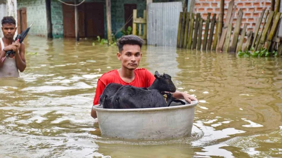 Assam floods continue to batter six districts; over 46,000 affected, 3,809 hectares of cropland under water Assam floods continue to batter six districts; over 46,000 affected, 3,809 hectares of cropland under water