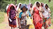 Tripura gets Rs 1,040 crore under Centre's new rural livelihood scheme Tripura gets Rs 1,040 crore under Centre's new rural livelihood scheme