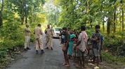 Assam: Man killed in wild elephant attack in Kaliabor's Kamakhya village Assam: Man killed in wild elephant attack in Kaliabor's Kamakhya village