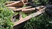 Assam: Dhubri forest officials seize illegal saw mill and timber in anti-smuggling operation Assam: Dhubri forest officials seize illegal saw mill and timber in anti-smuggling operation