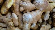 Mizoram seeks Centre's support for ginger processing units, bamboo industry Mizoram seeks Centre's support for ginger processing units, bamboo industry