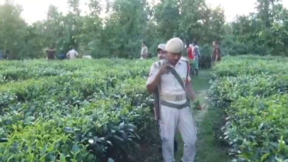 19-year-old's body recovered from tea garden in Assam's Kokrajhar, one arrested, main accused absconding 19-year-old's body recovered from tea garden in Assam's Kokrajhar, one arrested, main accused absconding