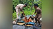 Excise Department seizes liquor, destroys 400 litres of fermented wash in Assam's Margherita raid Excise Department seizes liquor, destroys 400 litres of fermented wash in Assam's Margherita raid