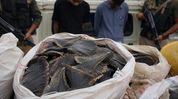 Mizoram police seize Rs 2.3 crore worth of manta ray gill plates; drugs and smuggled goods also recovered Mizoram police seize Rs 2.3 crore worth of manta ray gill plates; drugs and smuggled goods also recovered