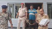 Fake gold scam busted in Silchar: 7.23 kg counterfeit gold seized, one detained Fake gold scam busted in Silchar: 7.23 kg counterfeit gold seized, one detained