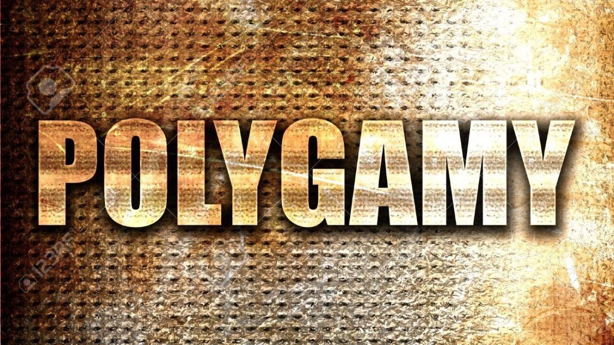 Assam budget proposes welfare benefits bar, government job dismissal for those practising polygamy