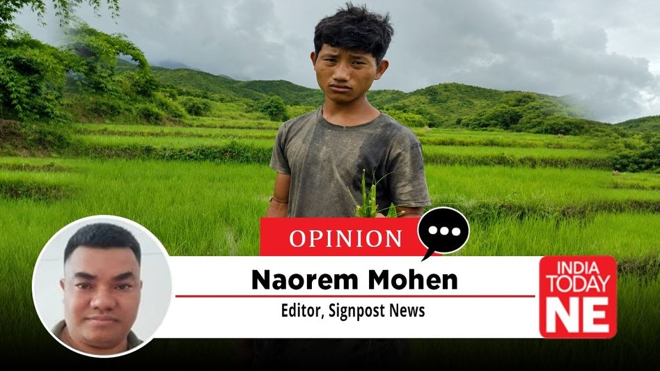 Why Manipur Farmers Should Rethink Rice Seed and Urea Use Why Manipur Farmers Should Rethink Rice Seed and Urea Use