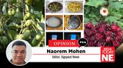 Can Manipur Turn Its Indigenous Fruits Into a Start-Up Economy Can Manipur Turn Its Indigenous Fruits Into a Start-Up Economy