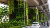Urban greening drive begins in Guwahati with vertical gardens across 20 flyovers Urban greening drive begins in Guwahati with vertical gardens across 20 flyovers