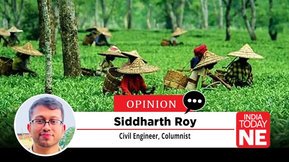 A Welcome Brew for Assam's Tea Industry A Welcome Brew for Assam's Tea Industry