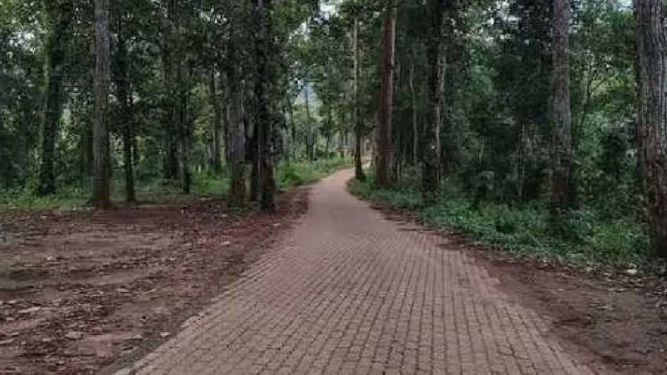 Assam: Guwahati youth found dead in Garbhanga Reserved Forest after going missing Assam: Guwahati youth found dead in Garbhanga Reserved Forest after going missing