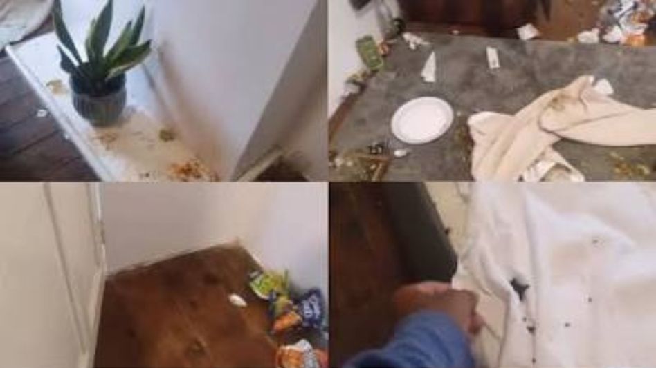 UP tourists vandalise homestay in Meghalaya, arrested: Police UP tourists vandalise homestay in Meghalaya, arrested: Police