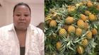 Meghalaya entrepreneur alleges theft at Delhi pineapple festival, seeks swift police action Meghalaya entrepreneur alleges theft at Delhi pineapple festival, seeks swift police action