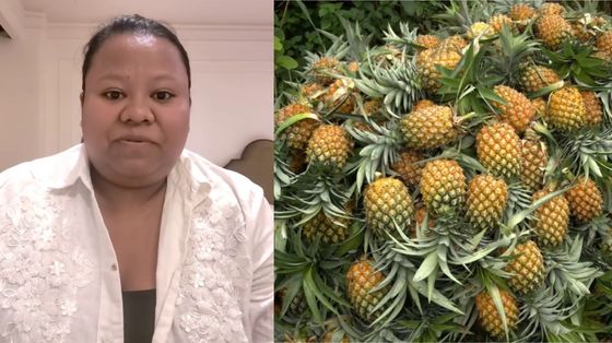 Meghalaya entrepreneur alleges theft at Delhi pineapple festival, seeks swift police action Meghalaya entrepreneur alleges theft at Delhi pineapple festival, seeks swift police action