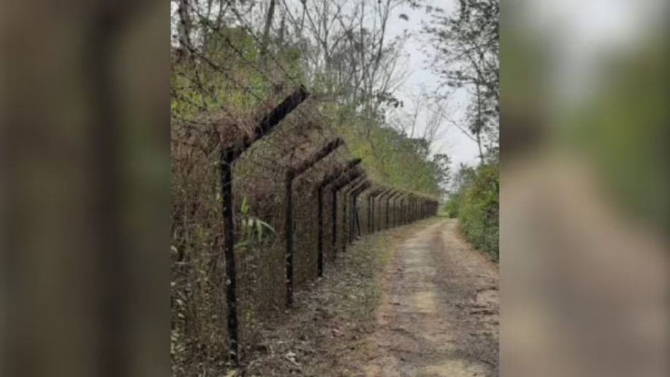 Mizoram's Lawngtlai tightens vigil on illegal immigration, to regulate businesses involving undocumented entrants Mizoram's Lawngtlai tightens vigil on illegal immigration, to regulate businesses involving undocumented entrants