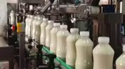 Rs 5/litre subsidy boosts Assam's dairy sector: Himanta cites 54.65% rise in milk procurement Rs 5/litre subsidy boosts Assam's dairy sector: Himanta cites 54.65% rise in milk procurement