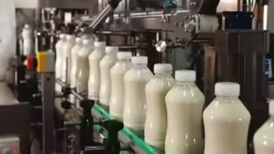 Rs 5/litre subsidy boosts Assam's dairy sector: Himanta cites 54.65% rise in milk procurement Rs 5/litre subsidy boosts Assam's dairy sector: Himanta cites 54.65% rise in milk procurement