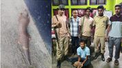 Man arrested with live pangolin in Assam, forest department launches probe Man arrested with live pangolin in Assam, forest department launches probe