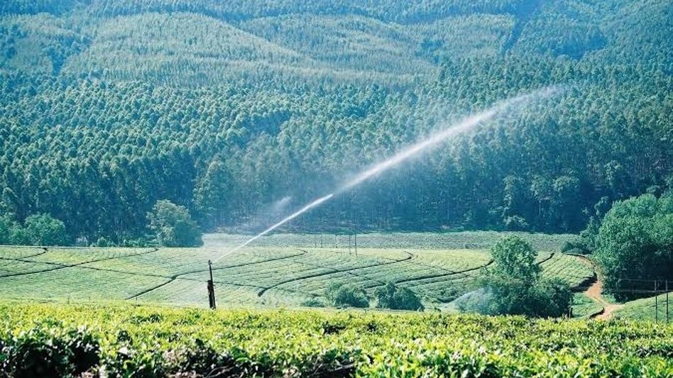 Assam to invest Rs 4,000 crore in pressurised irrigation network over five years: Himanta Biswa Sarma Assam to invest Rs 4,000 crore in pressurised irrigation network over five years: Himanta Biswa Sarma