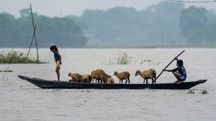 Photo: PTI Photo: PTI