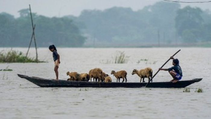 Photo: PTI