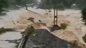 Assam floods: NFR arranges buses, special train, food for stranded passengers after train diversions Assam floods: NFR arranges buses, special train, food for stranded passengers after train diversions
