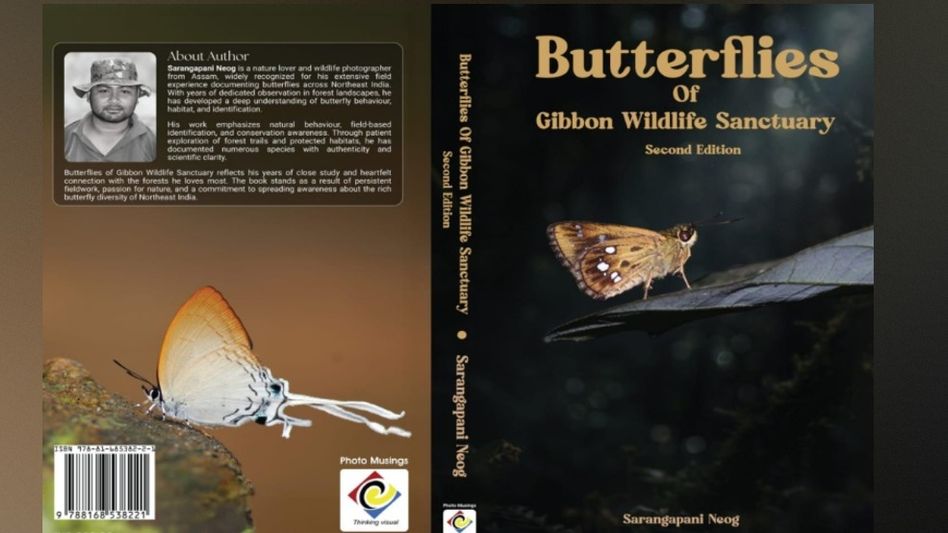 Assam researcher documents 281 butterfly species in new scientific book on Gibbon Wildlife Sanctuary Assam researcher documents 281 butterfly species in new scientific book on Gibbon Wildlife Sanctuary