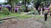 Assam Floods: 56-year-old woman killed as flood-hit elephant enters revenue village near Dibru-Saikhowa Assam Floods: 56-year-old woman killed as flood-hit elephant enters revenue village near Dibru-Saikhowa