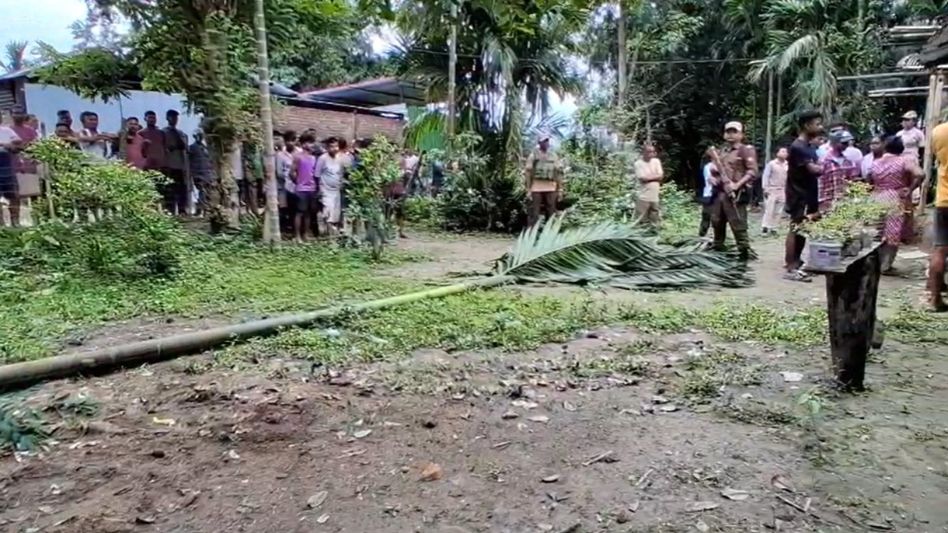 Assam Floods: 56-year-old woman killed as flood-hit elephant enters revenue village near Dibru-Saikhowa Assam Floods: 56-year-old woman killed as flood-hit elephant enters revenue village near Dibru-Saikhowa