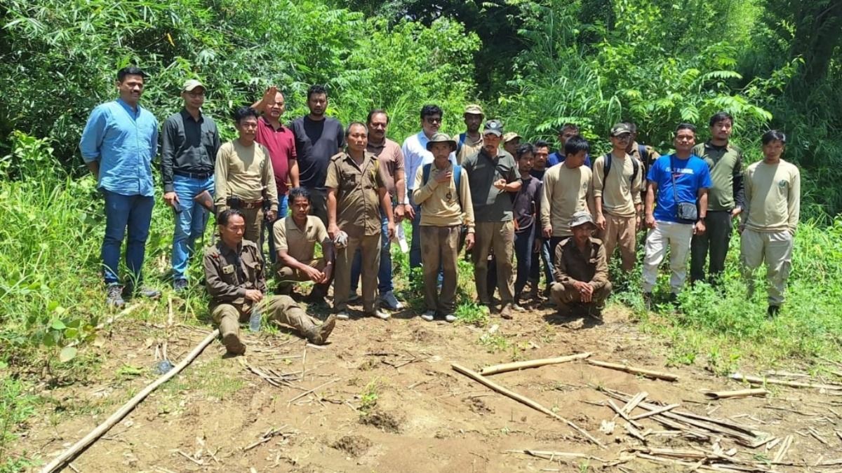 Missing Assam Forest Team traced safe after two-day search in remote border forests