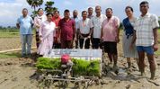 Mechanised paddy transplantation demonstration promotes modern farming in Assam’s Margherita Mechanised paddy transplantation demonstration promotes modern farming in Assam’s Margherita