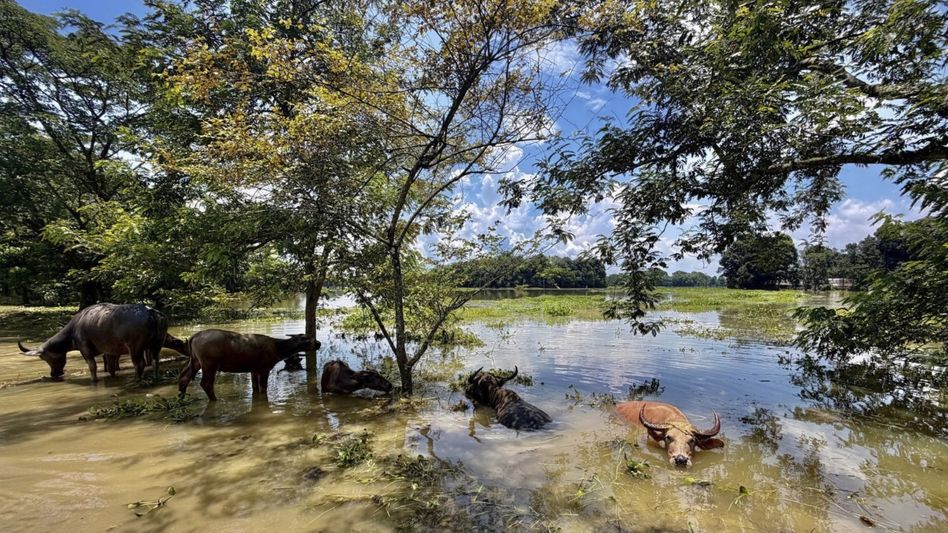 Assam Assembly Budget Session ends two days early to allow MLAs to oversee flood relief Assam Assembly Budget Session ends two days early to allow MLAs to oversee flood relief