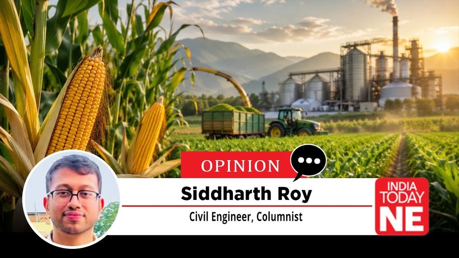 Why Assam's Maize Push Must Be More Than an Ethanol Story Why Assam's Maize Push Must Be More Than an Ethanol Story