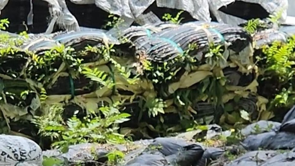 Assam: Lakhs of geo bags lie unused in Palasbari as erosion ravages riverbanks